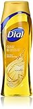 Dial Gold Body Wash With Moisturizers 16 Ounce (2 Pack)