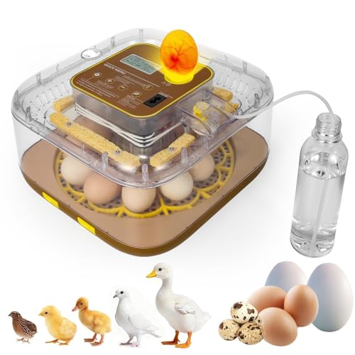 GleeGearNex Gen IV Egg Incubator