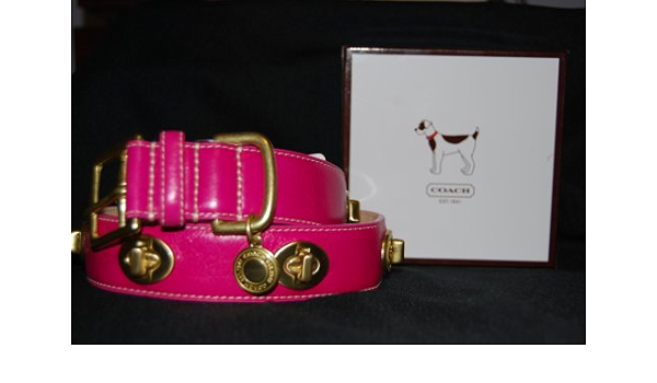 coach dog collar