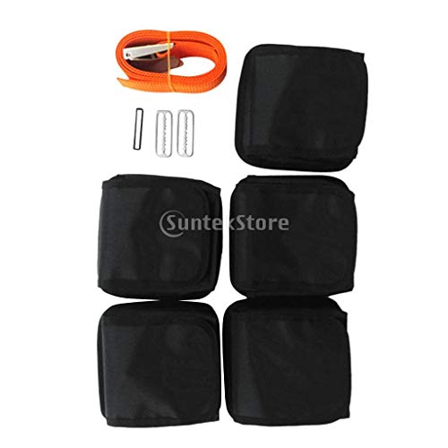 Heavy Duty 59" Scuba Diving Free Diving Spearfishing 5 Pocket Weight Belt Webbing with Stainless Steel Buckle Gear Equipment