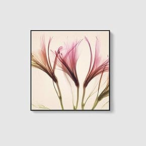 Framed Canvas Home Artwork Decoration Beautiful Flower Canvas Wall Art for Living Room, Bedroom - 16x16 inches