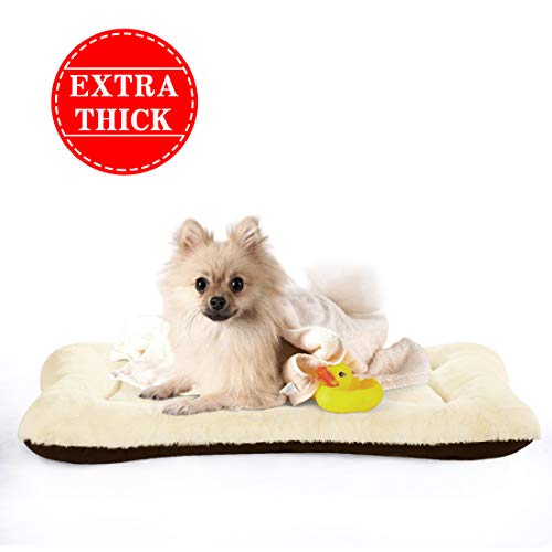 The Best Dog Bed 2021 Pets Pest