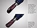 Prestige Balios Travel Umbrella—Handmade Wood Handle—Auto Open & Close—Exquisite Patterns—Gift Boxed—Designed in UK