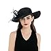 Dantiya Womens Organza Wide Brim Floral Feather Ribbon Kentucky Derby Church Dress Sun Hat, Black Free