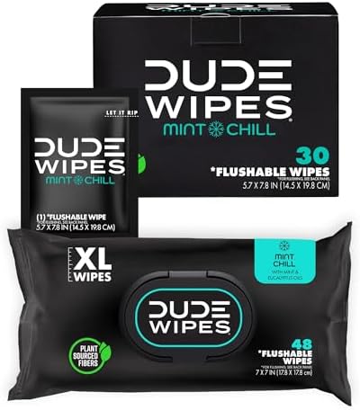 DUDE Wipes - On-The-Go Flushable Wipes - 1 Pack, 30 Wipes - Unscented
