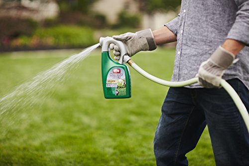3 Ortho+Nutsedge+Ready+To+Spray+Killer+32+Ounce