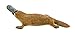 Safari Ltd. Platypus Figurine - Detailed 4.75