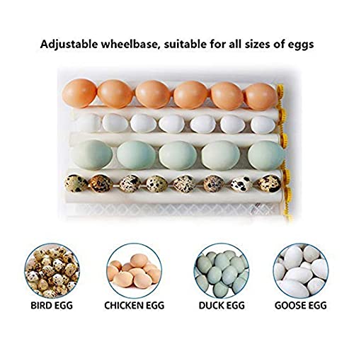 CHICTI Beleuchtung Ei Inkubator Brutmaschine Für Hühner Vollautomatisch Wendung Eier Inkubator Brutgerät Brutapparat… – Bild 8