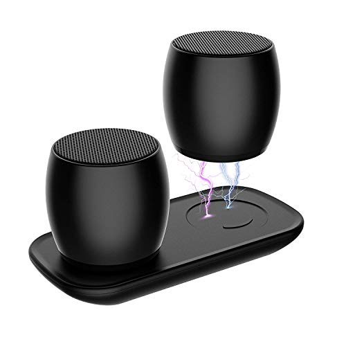 Bluetooth Speakers, Portable True Wireless Speaker with BuiltinMic