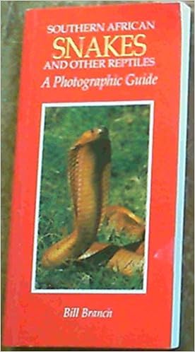 Southern African Snakes And Other Reptiles A Photographic - 
