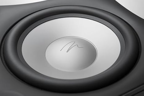 martin logan dynamo 10