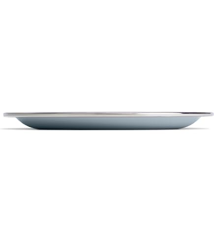 Amazon.com : Hydro Flask Outdoor Kitchen Plate – Stainless Steel