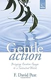 Gentle Action: Bringing Creative Change to a Turbulent World