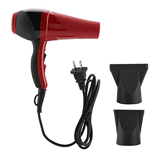 Hair Dryer Professional Hair Blower Constant Temperature Hot Cold Wind Hairdryer with 2 Nozzle Hair Styling Attachments Home Appliances Barber Shop Tools 2000W (US Plug)