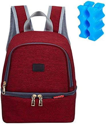 Cutebility Insulated Breastmilk Cooler Bag Breast Case Backpack Waterproof Double Layer Bottle Lunch Tote Diaper Bag with Empty Ice Bottles for Breastfeeding Mom Work Panic