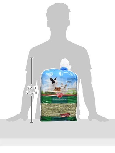 Kaytee Timothy Hay, 96-oz bag