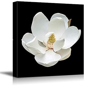 Black Background Flower Theme for Living Room Painting...