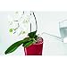 Lechuza Deltini Self Watering Planter - Gloss White