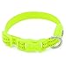BSEEN Adjustable LED Dog & Cat Collar - Rechargeable, Small Breeds, Green, 8.5-11.8 inches, Nylon, Lightweight, Reflective, 2 Flash Modes