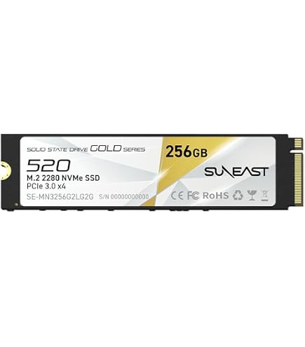 Amazon.com: FLEANE FXM01 256GB SSD for ASUS Zenbook UX21 UX31