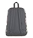 JanSport City View Backpack