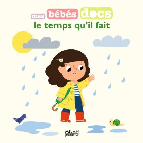 Le  temps qu'il fait
