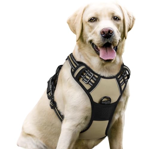 Rabbitgoo Dog Harness