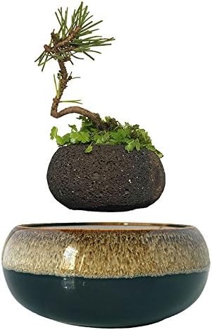 High-tech Product Air Bonsai Suspension Flower Pot Potted Plant Levitate Gift (volcanic stone pot)