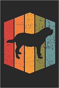 St bernard's school website picture