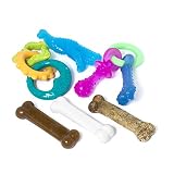 Nylabone Puppy Toy Bundle with Puppy Starter Pack, Puppy Chew Toys, Teething Chew Toys, and Bacon Puppy Treat