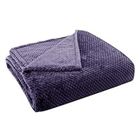 Lewondr Ultra Soft Luxury Flannel Velvet Throw Blanket All-Season Sheet Microfiber Plush Fleece Bed/Chair/Sofa/Couch Cover Blanket 40" x 60" - Purple