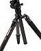MEFOTO GlobeTrotter 64.2