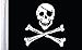 Pro Pad FLG-JR Jolly Roger Sleeved 6 by 9-inch Motorcycle Flag with 1/2