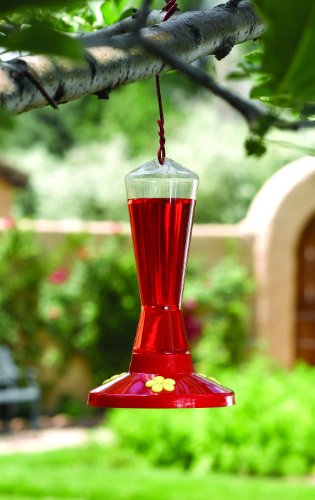 Perky-Pet Clear Plastic Hummingbird Feeder 211