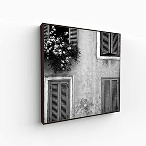 Canvas Wall Art for Living Room, Bedroom Silence Framed Canvas Prints for Home Decoration Ready to Hang - 16x16 inches
