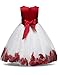 NNJXD Girl Tutu Flower Petals Bow Bridal Dress for Toddler Girl Size 6-7 Years Big Red 1