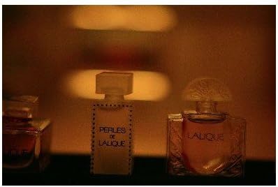 Amazon Com ƒ ƒxƒgƒj ƒhu K Kique O D Q K D R C D K K H P T Dvsg T I ª ƒnƒkƒl T Postcard Office Products Amazon Com ƒ ƒxƒgƒj ƒhu K Kique O D Q K D R C D K K H P T Dvsg T I ª ƒnƒkƒl T Postcard Office Products