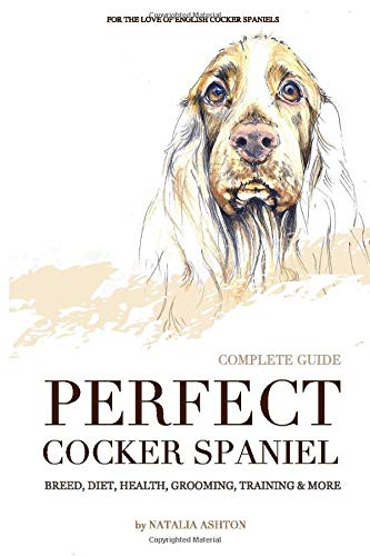 cocker spaniel diet