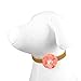 Martha Stewart Flower Pet Collar Accessory Set, One Size