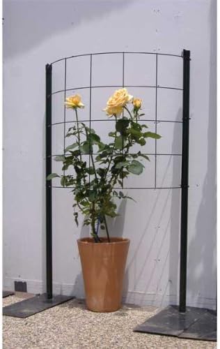 つるバラ用フェンス カラマリーナ ハーフムーン リトル グリーンパネル 幅75cm 高さ