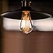 SHINE HAI Vintage Edison Bulb 60W, Antique Style ST64 Squirrel Cage Filament, 300 Lumens, Dimmable Classic Design, E26 Medium Base 2300K, Pack of 6