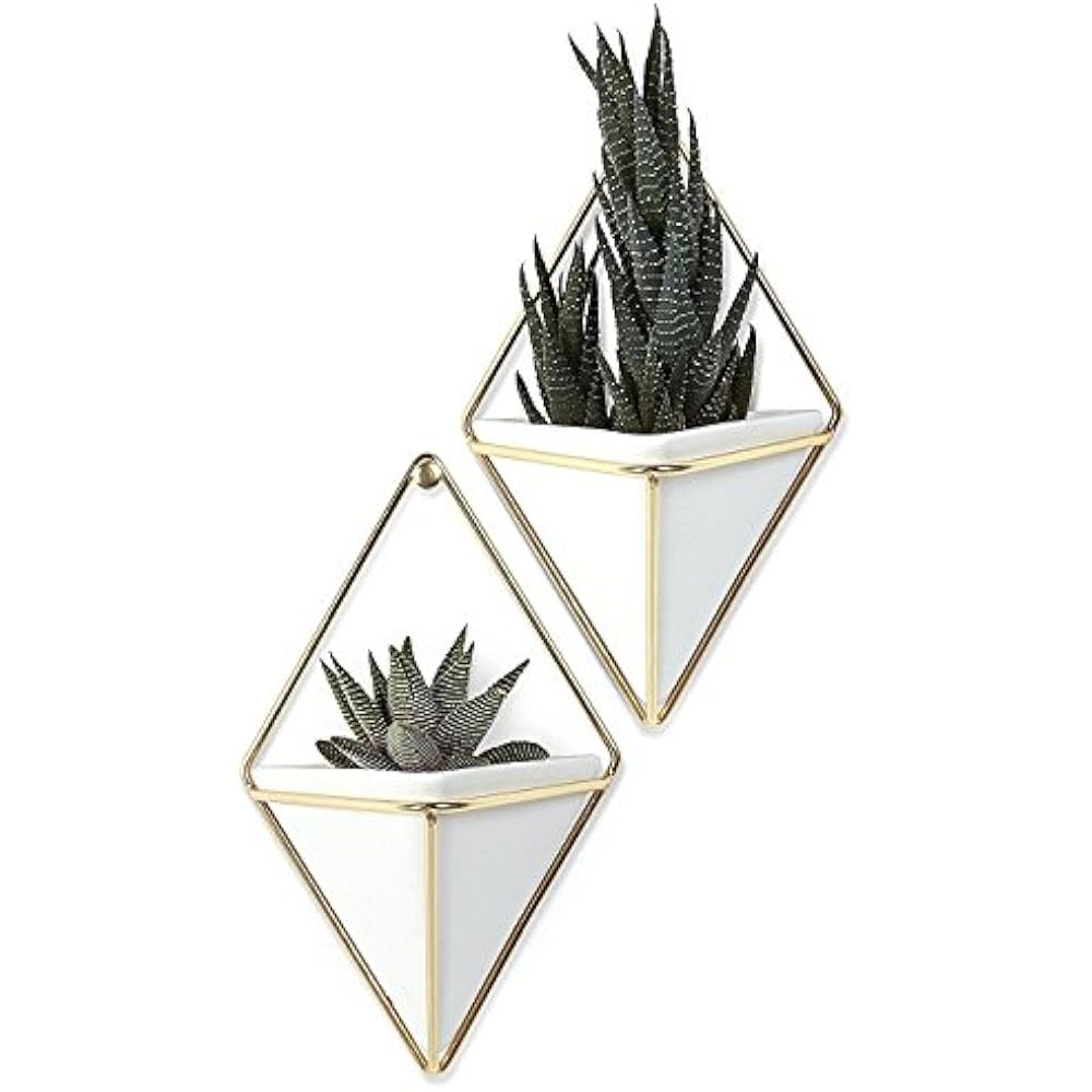 Umbra Trigg Colgante Maceta Florero Geometrica Contenedor De