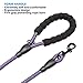 Ladoogo Heavy Duty Dog Leash - Comfortable Padded Handle, 5 ft Long - Dog Leashes for Medium Large Dogs with A Free Collapsible Pet Bowl (Purple)