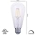 Aogist 6W Vintage Sapphire Dimmable LED Filament Light Bulb, 2700K Warm White 600LM, E26 Medium Base Lamp, ST64 (ST19) Antique Shape, High Light Efficiency,60W Incandescent Replacement UL Listed