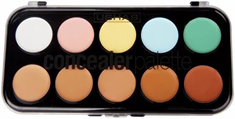 JPNK Professional 10 Color Concealer Camouflage Makeup Palette