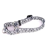 Yellow Dog Design Martingale Pet Collar, X-Small, Damask