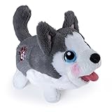 Chubby Puppies Plush, Husky