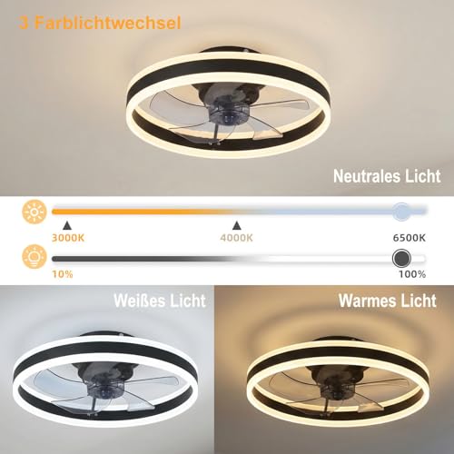 Ceiling Fan with Lighting, Fan Ceiling Light, 3 Colour Temperatures and 6 Speeds LED Ceiling Fan with Lamp, APP/Remote Control, Quiet Dimmable Fan, Ceiling Light (Black, 50 cm)