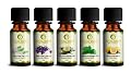 100% Natural Eucalyptus Essential Oil - Premium, Undiluted Therapeutic Grade - 15 Ml - 1/2 Oz Bottle. Use for respiratory and chest congestion, bronchitis, bronchial cough and sinusitis. Effective in addressing sore throat and laryngitis. A natural antiba