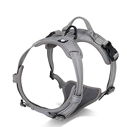 WINHYEPET True Love Dog Harness, No-Pull Reflective Pet Harness with 2 Leash Clips Adjustable Soft Padded Dog Vest with Easy Control Handle for Small Medium Large Dog TLH5651(Gray,L)